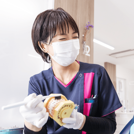 歯の模型を手に笑顔を見せる歯科衛生士