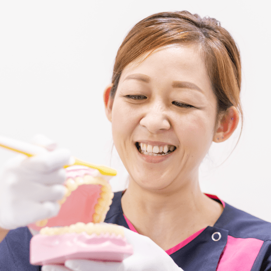 歯の模型を手に笑顔を見せる歯科衛生士
